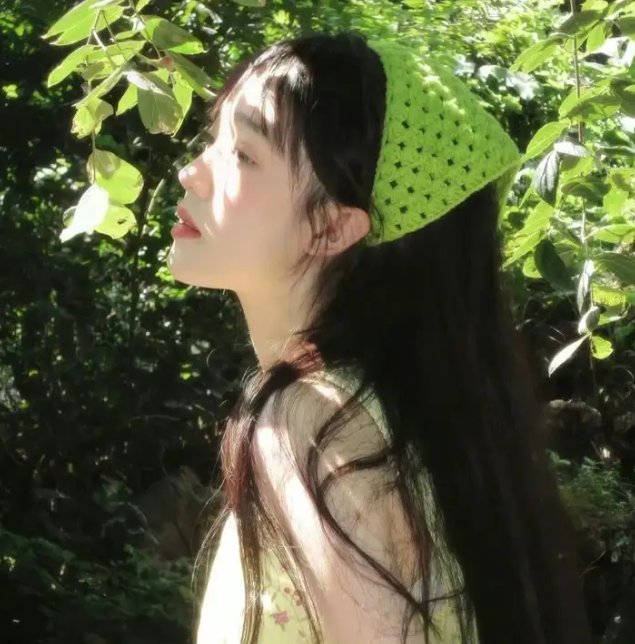 柿子坞的女人们